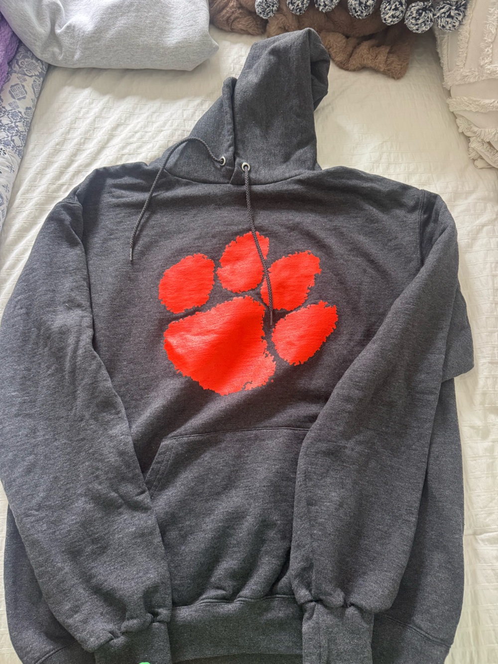 Champion Gray Hoodie with Bright Orange Graphic